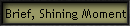 Brief, Shining Moment